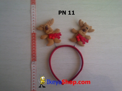 PN 11  large2